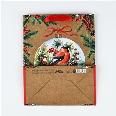 Пакет подарочный новогодний крафтовый «Счастья в Новом году», MS 18×23×10 см