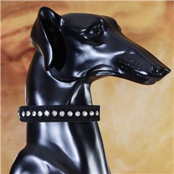 Ошейник «Бархат и стразы», 31×1.3/2 см, ОШ 22-28 см, чёрный