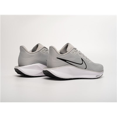 Кроссовки Nike Air Zoom Pegasus 41