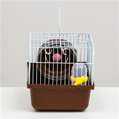 Клетка для грызунов «Пижон», 23×17×17 см, коричневая