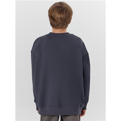 СВИТШОТ ДЛЯ МАЛЬЧИКОВ 123495