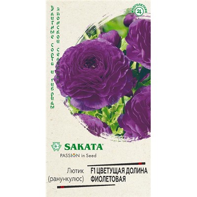 Ранункулюс Цветущая долина Фиолетовая (Код: 81810)