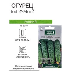 Семена Огурец Величавый, F1, 12шт