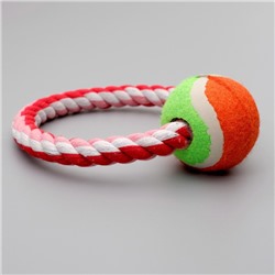 Игрушка тренировочная канатная «Круг с мячом», 120 г, микс цветов