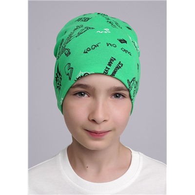 CLEVER Шапка