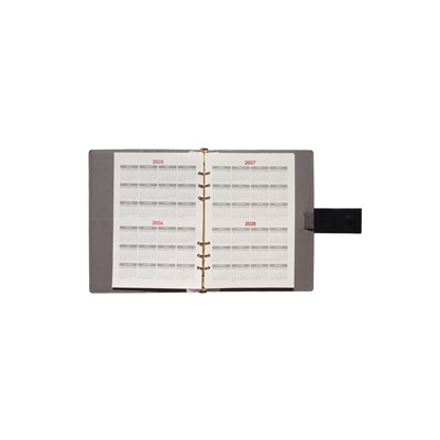 Органайзер на кольцах, А5, с хлястиком, 80 л, линия, к/зам, Черный