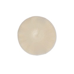 Шапка детская ESLI 13С-54СП