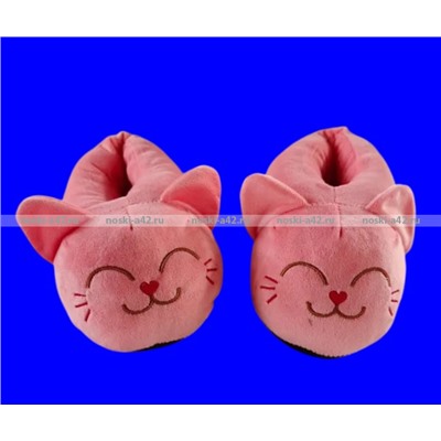 2 пары ПОДАРОЧНЫЙ НАБОР Носки-тапочки подростковые мягкие Прикольные