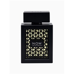 Парфюмерная вода мужская Rave NOW, 100 мл (по мотивам Black XS L'Exces for Him Rabanne)