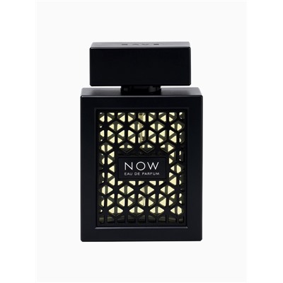 Парфюмерная вода мужская Rave NOW, 100 мл (по мотивам Black XS L'Exces for Him Rabanne)