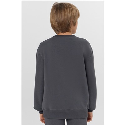 Свитшот для мальчиков MARK FORMELLE, 1228984