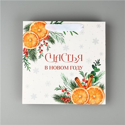 Пакет подарочный новогодний ламинированный квадратный «Счастья в Новом году», 22×22×11 см