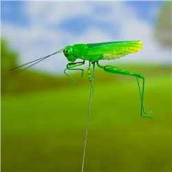 Штекер «Кузнечик зеленый», 3×5 см/22 см, набор 2 шт.