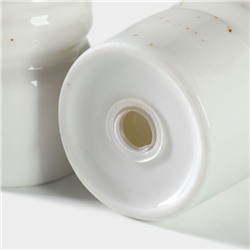 Набор для специй Magistro «Церера», 2 предмета: солонка, перечница, фарфор, белый