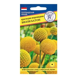 Семена цветов Краспедия шаровидная "Билли Батон", 10 шт