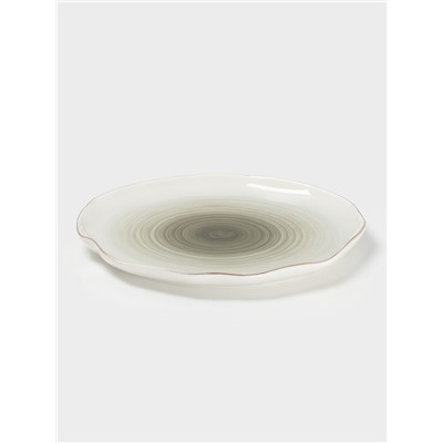 Тарелка обеденная Доляна «Млечный путь», d=25 см, фарфор, серая