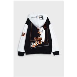 Толстовка PLAYTODAY, 1121399