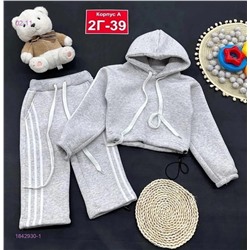 Костюм с начёсом 1842930-1