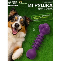 Игрушка жевательная «Спортсмен», TPR, 15.5 см, фиолетовая