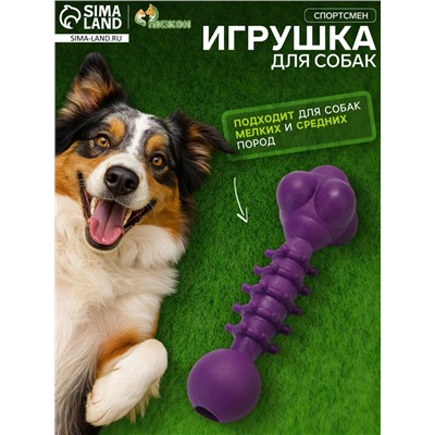 Игрушка жевательная «Спортсмен», TPR, 15.5 см, фиолетовая
