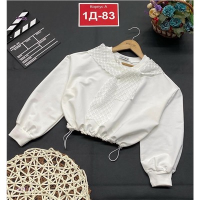 Кофта 1977971-2