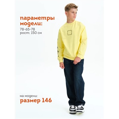 PELICAN Толстовка BFN3377