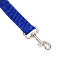 Поводок 3 м × 2.5 см, синий