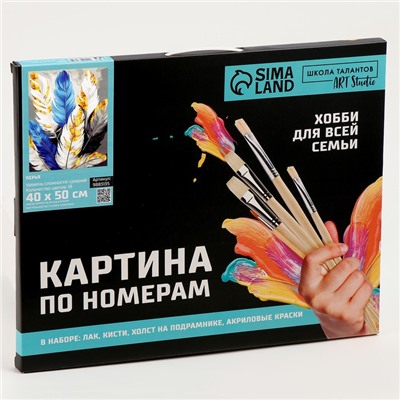 Картина по номерам на холсте с подрамником с золотой краской «Перья», 40×50 см