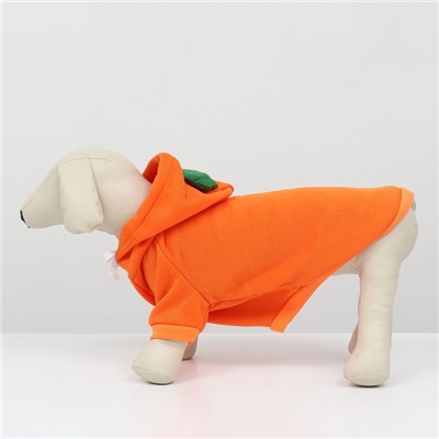 Толстовка «Любимая морковка», размер M (ДС 30, ОГ 44 см)