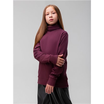 Bodo Водолазка 7-228МU