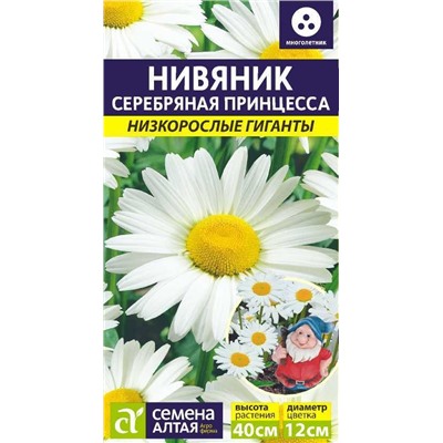 Нивяник Серебряная Принцесса (Алтай)