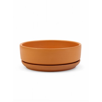 Горшок - бонсайница «Огма» для кактусов и суккулентов, 700 мл, d=15 см, h=5.5 см, керамика, с поддоном, терракот