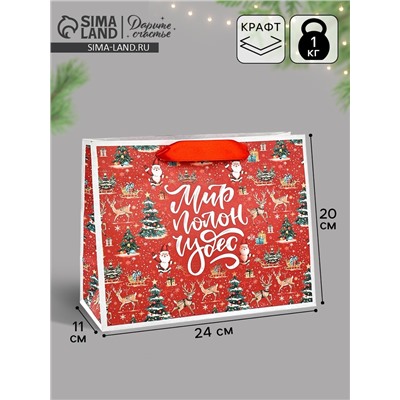 Пакет подарочный новогодний крафтовый, «Мир полон чудес», 23×18×10 см