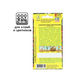Семена цветов Камнеломка "Цветочный ковер", 0,02 г