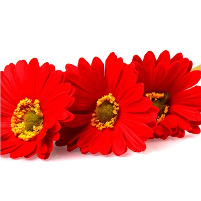 Цветок искусственный Гербера 43 см красный / 1501 /уп 56/560/ латэкс