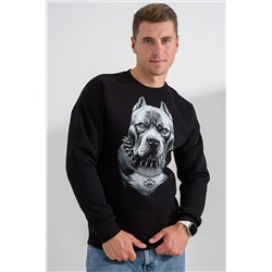 Свитшот 8559 НАТАЛИ, 1191374