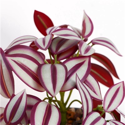 Искусственный цветок в горшке «Традесканция галант», 7.5×17 см