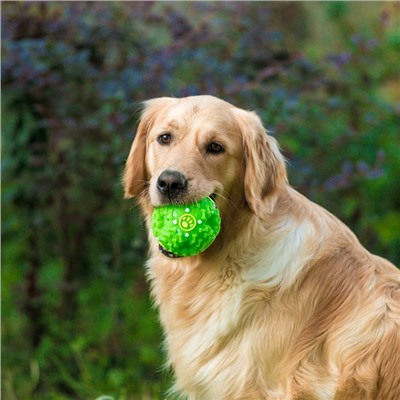 Квакающий мяч для собак большой, жёсткий, 9.5 см, зелёный