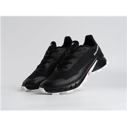 Кроссовки Salomon Alphacross 5 GTX