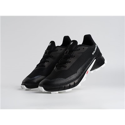 Кроссовки Salomon Alphacross 5 GTX