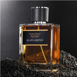 Туалетная вода мужская Merle blanc BLAZE AMBITION, 100 мл