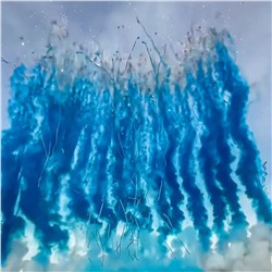 Фейерверк-шоу: Гендер Пати