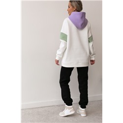 Брюки Тодес №7 (начёс)