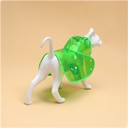 Дождевик для собак, размер XS, зеленый