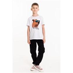 Футболка М225082Па