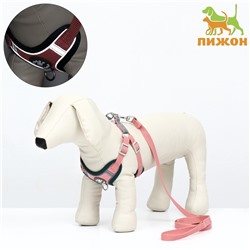 Комплект Sport+, XS, поводок 120×1.5 см, ОШ 37-39 см, ОГ 41-46 см, вес животного 4-6 кг, розовый