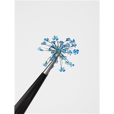 Сухоцветы для декора, 12 видов, в футляре, разноцветные