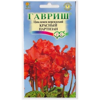 Цикламен Красный партизан (Код: 3861)