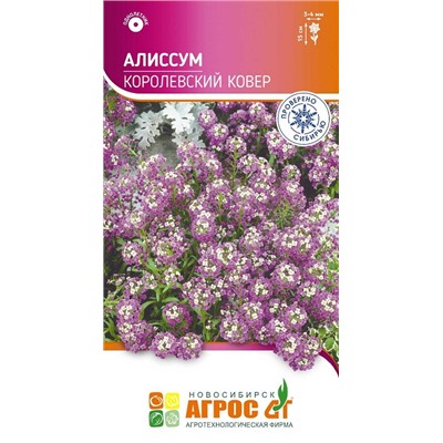 Алиссум Королевский ковер (Код: 93664)
