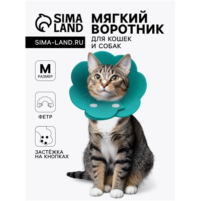Ветеринарный воротник «Ромашка», размер M, фетр, бирюзовый